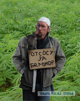 Помогите на бухло