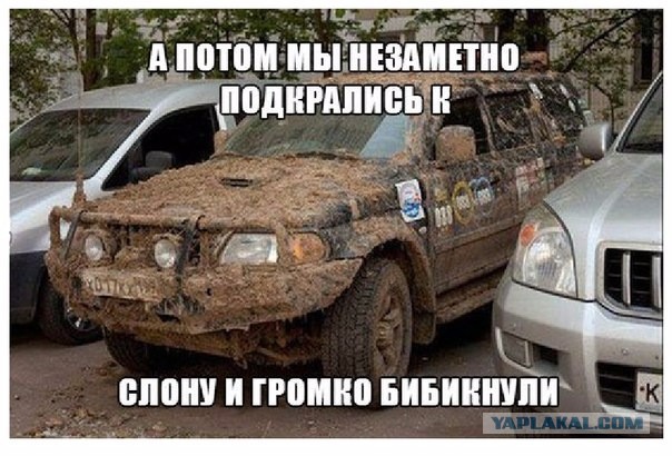 Шушуть картинкав
