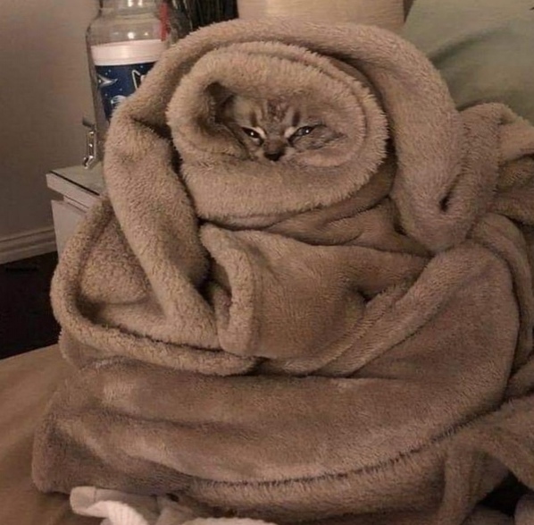 Эти забавные животные