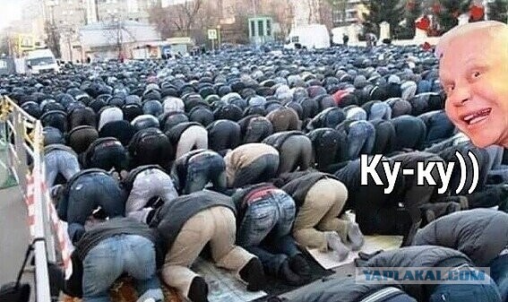 Не очень адекватный юмор