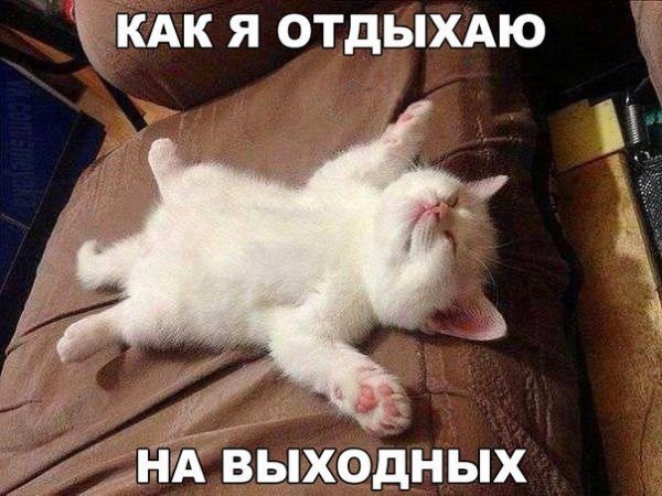 Прикольные и просто красивые картинки 12.11.2020