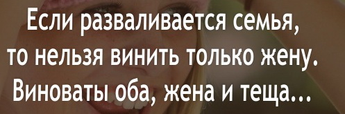 Веселые истории о нас №237