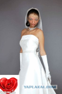 Мастер Фотошопа