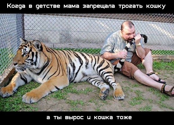 Картинки и мемы для настроения 017