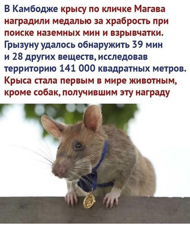 Картинки с надписями и всякие жизненные фразы 30.04.21
