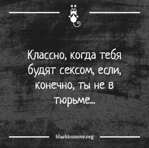 Ночные кретинизмы из сети 25.08.2021