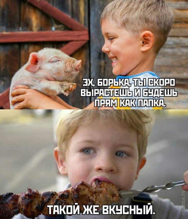 Картинки-баяны-бабаяны 01.09.2021