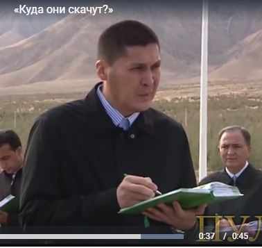 «Куда они скачут?»