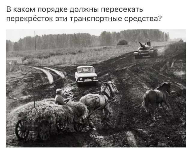 Всяческие картинки 19.10.2021