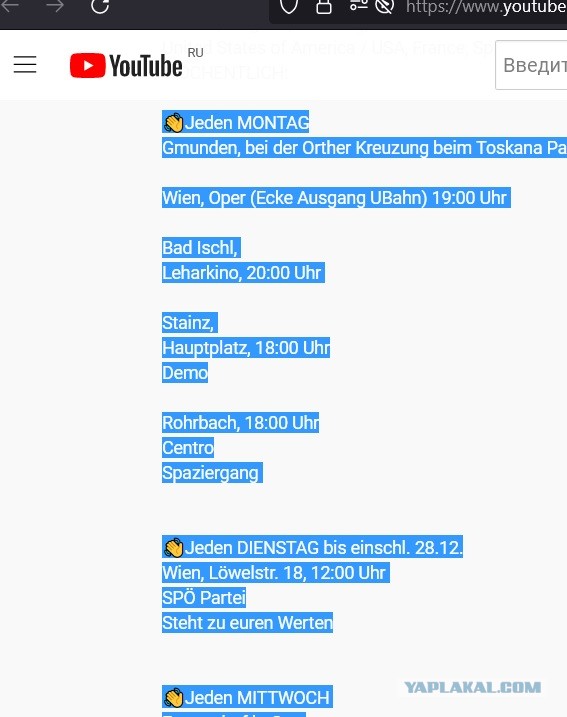 До 400 000 демонстрантов - в Вене антиковидная демонстрация!