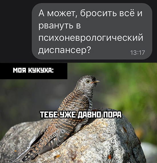 Немного картинок и прочей хреноты Vol. 5