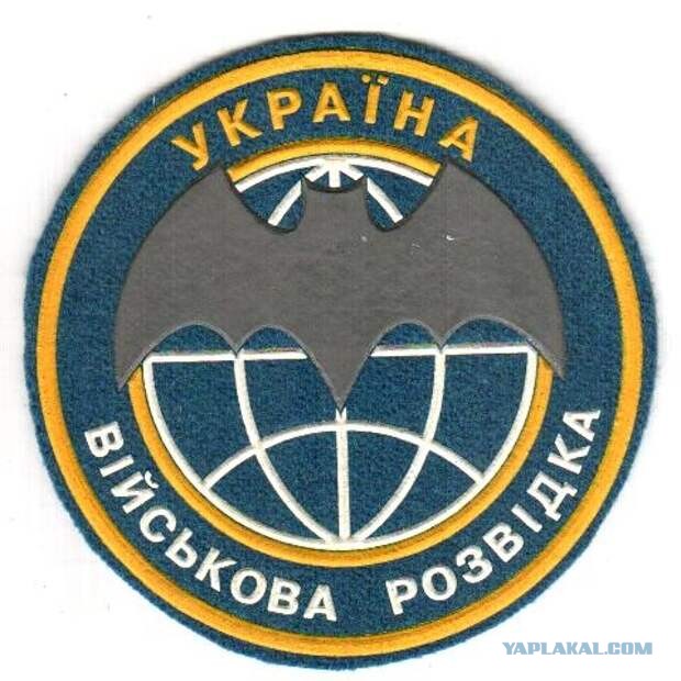 Матерого разведчика и диверсанта захватили бойцы чеченского спецподразделения.