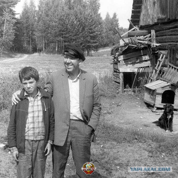 Дача. Необходимость или блажь?