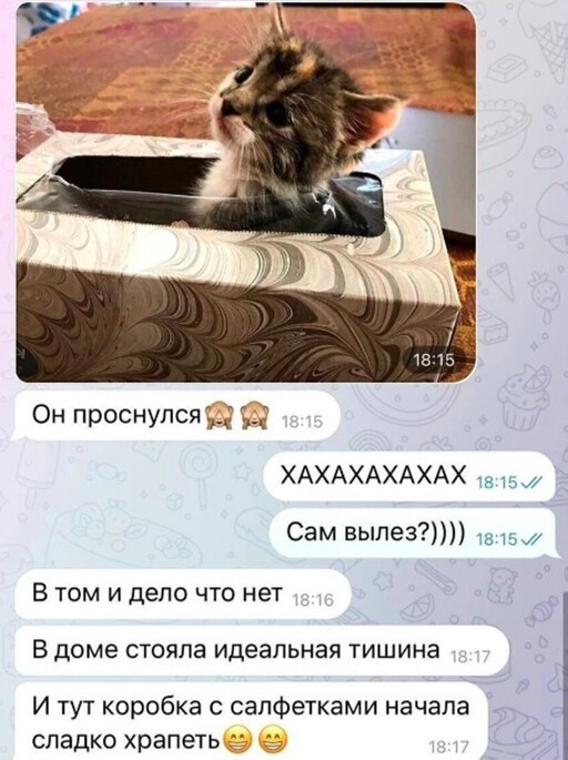 Картинки и мемы для настроения - 03