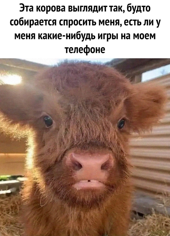 Картинки и мемы, всем хороших выходных