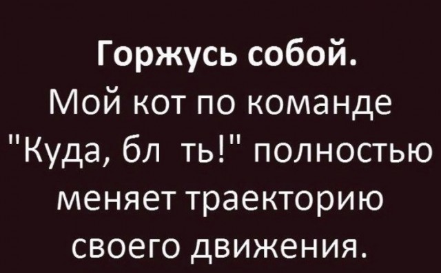 Немного картинок для настроения - 117