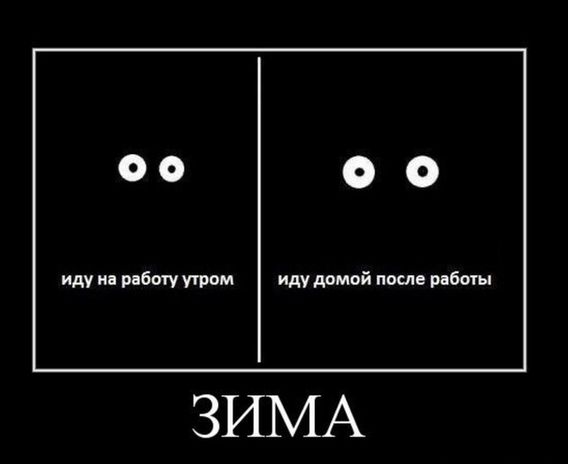 Так себе картинки 07.12.22