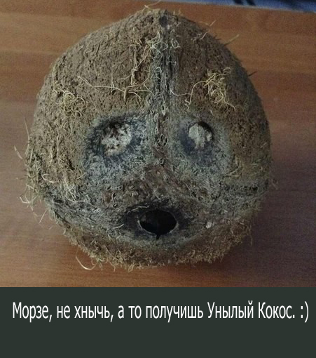 КОКС-1001.2