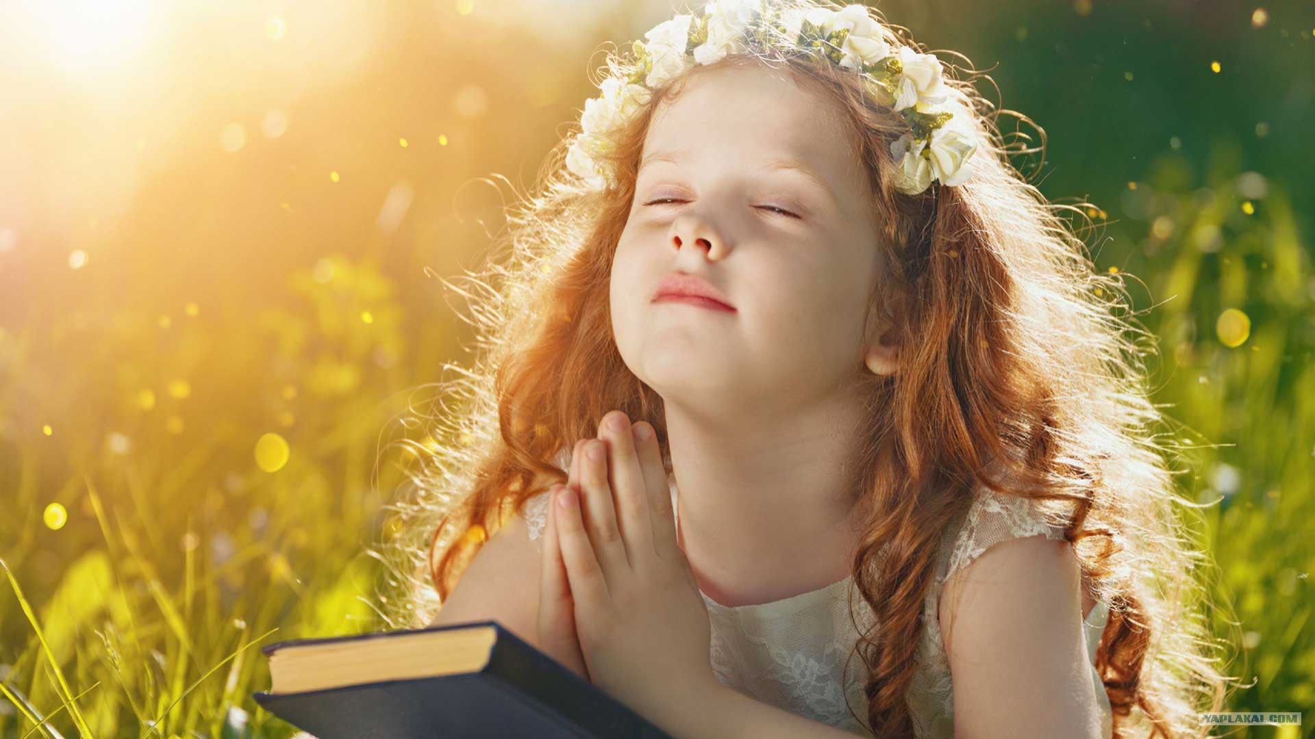 девочка сложила. маленькая девочка со сложенными руками. ребенок молится красивая фотография. картины дети девочка ручки сложены в молитве. маленькая девочка со сложенными руками.