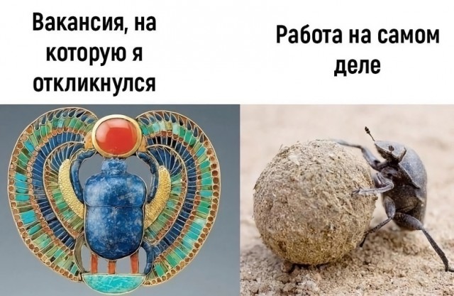 Картинки и мемы, всяко разно - 185