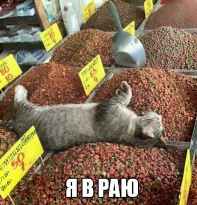 Так себе картинки 20.06.23
