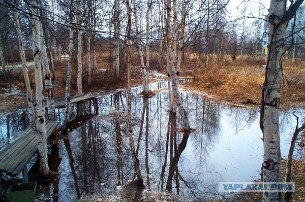 Реки, большие и маленькие