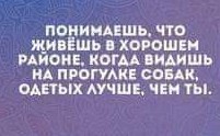 Пятничные улыбательные картинки
