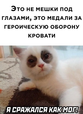 Племянника главы Чечни наградили орденом Мужества