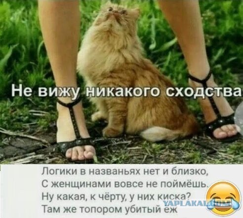Моя первая вагина