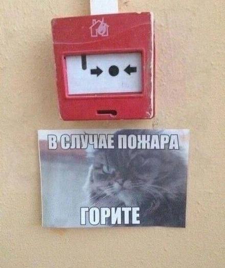 Всего понемногу. От 22.07.24