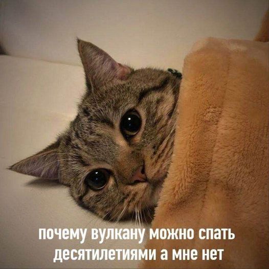 Осенние бояны
