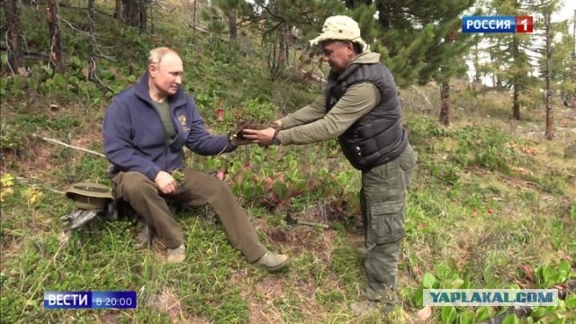 А какой у вас любимый фильм?