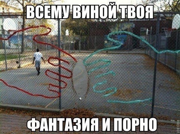 Так себе картинки 22.11.24