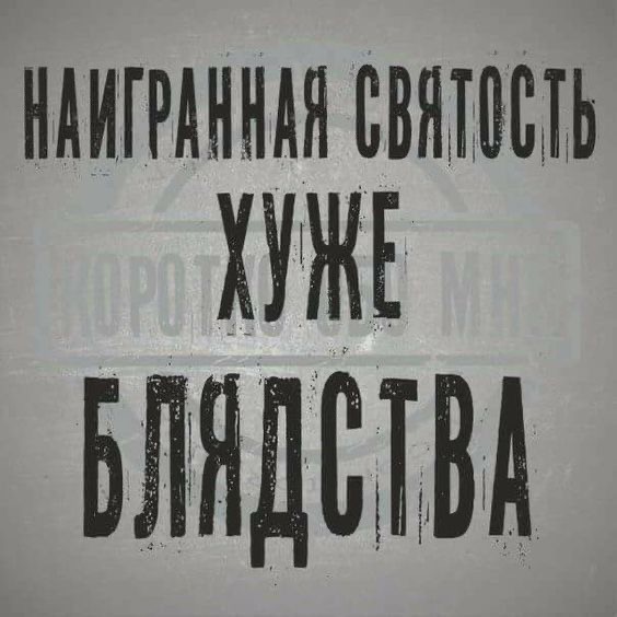 Спустя год после гибели кота Твикса появилось видео, на котором его высаживают из вагона