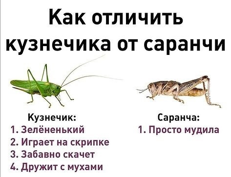 Так себе картинки 20.02.25