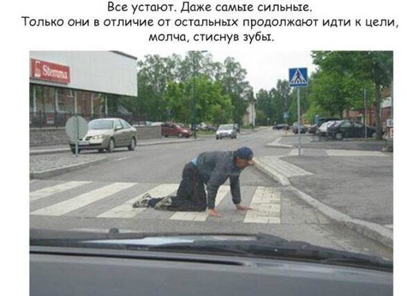 Пьяные слоны