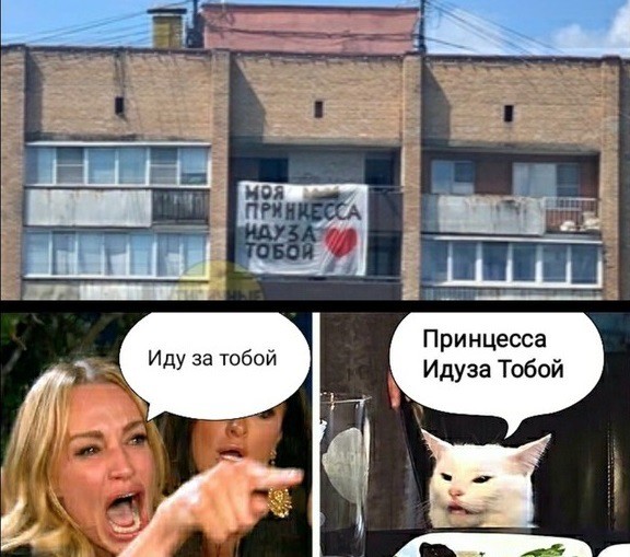 Знаменитый кот 2
