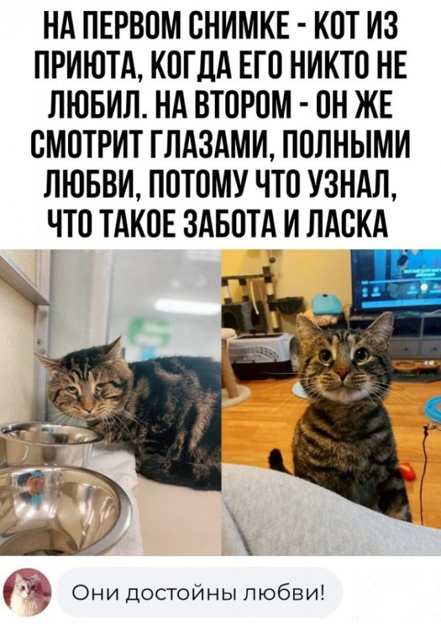 Так себе картинки 23.07.25