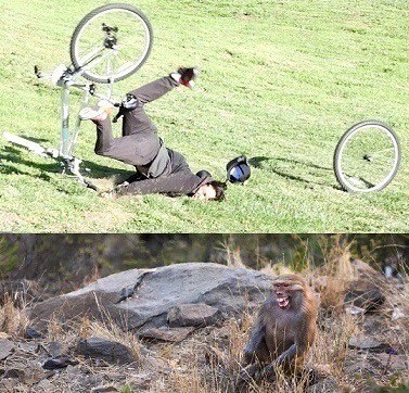 Веселое настроение в картинках 27.07.25