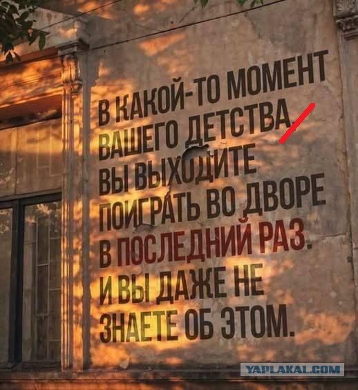 Картинки для деградации 54 (разной степени свежести)