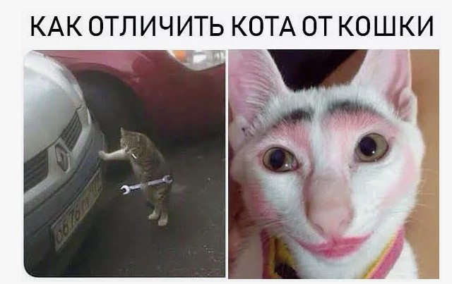 Угадайте, кто из нас муж, а кто жена?