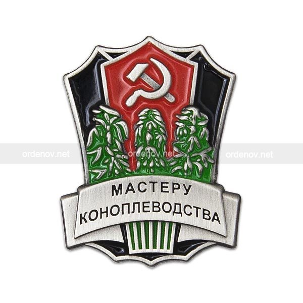 В Питере мужчина вырастил целую плантацию конопли прямо в квартире