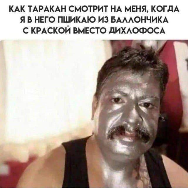 Картинки для деградации 81 (разной степени свежести)