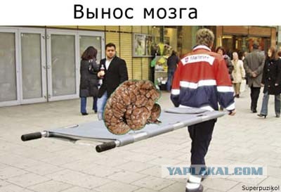 Как расколоть кокосовый орех.