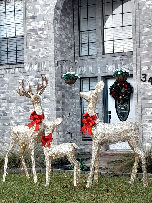 Литературный клуб "Птица Говорун"