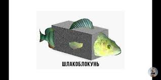 Срочная новость! В мире заканчивается скумбрия!