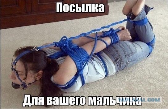 Картинища - баянища