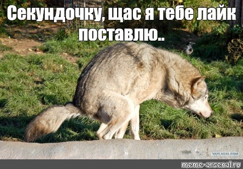 Хочу поделиться с вами видео
