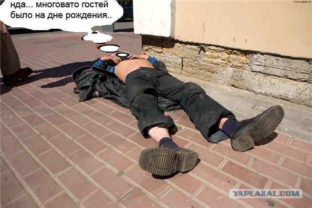 Весёлые картинки. Разбавим будни