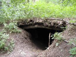 Где твоя землянка?